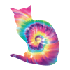 Tie Dye Katze