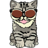 chat