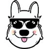 Funny dog with sunglasses