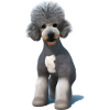 Bedlington Terrier