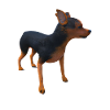 Lancashire Heeler