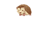 Hedgehog heartbeat épineux
