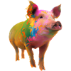 Farbenfrohes Schwein