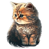 Cute Kitten