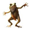 Grenouille disco