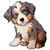 Cute Australian Shepherd Puppy