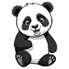Panda Bear