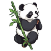 Panda bear with bamboo