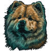 Chow Chow