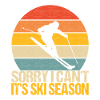 Skiers