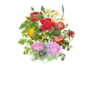 Bunte botanische Blumen - Botanik