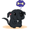 Staffy