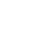 Celtic skull