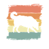 Border-collie retro