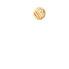 i love arepas, venezuela arepas
