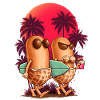SUMMER PEANUTS