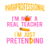 Paraprofessional Teacher Para Educator