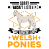 Welsh Pony Geschenk