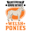 Welsh Pony Rider