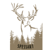 Spessart Hirsch