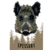 Spessart Wildschwein