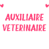 Meilleure auxiliaire vétérinaire