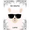No Drama Lama