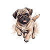 Cute Pug Little Dog