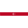Wings Flag Turkey Türkiye