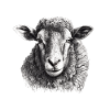 Sheep Portrait