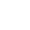 Burpee Junkie