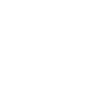 Burpee Junkie