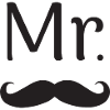 MR. MISTER MAN BEARD