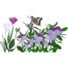 Frühlingsblumen