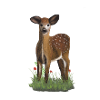DeerSpring