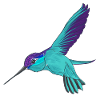 Hummingbird