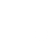 Année 1994