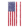 Patriotic nurse,