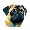 PUG