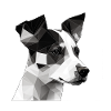 JACK RUSSELL
