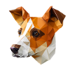 JACK RUSSELL
