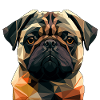 PUG