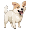 Little pooch