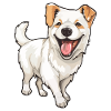 Rire chien mignon