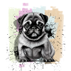 Pug