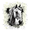 Cheval