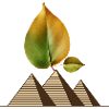 Nature is above all