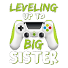 Leveled Up To Big Sister