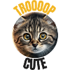 Chaton Trop Cute !