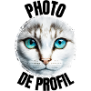 Photo de Profil Chat